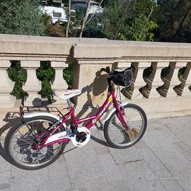 Bicicletta raggio 20