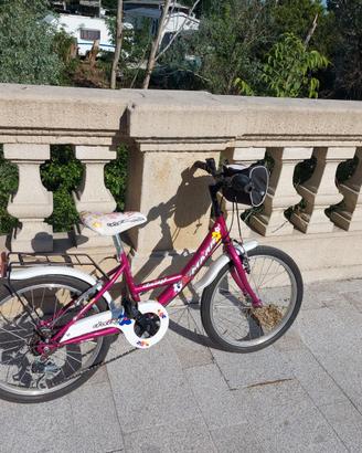 Bicicletta raggio 20