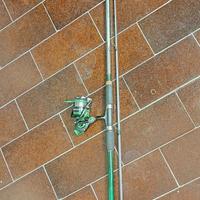 Canna e mulinello da spinning Alcedo