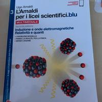 L'Amaldi per i licei scientifici blu 3