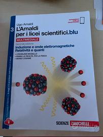 L'Amaldi per i licei scientifici blu 3