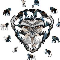 Ewa Wooden Puzzle 3D Scimmia "L" 300pcs