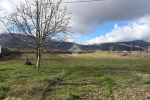 TER. AGRICOLO A VENAFRO