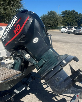 Evinrude Etec 40/70 del 2011