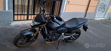 Hornet 600