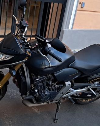 Hornet 600