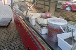 Banco frigo ambulanti