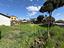 Immagine 8