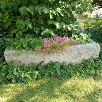 abbeveratoio in pietra