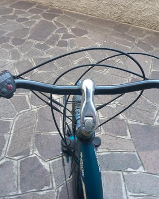 Bici elettrica