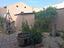 Immagine 13