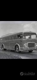 Fiat 652 autobus