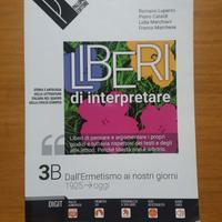 libro di italiano (liberi di interpretare) 