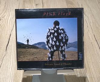 Pink Floyd - Delicate Sound of Thunder