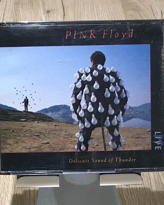 Pink Floyd - Delicate Sound of Thunder