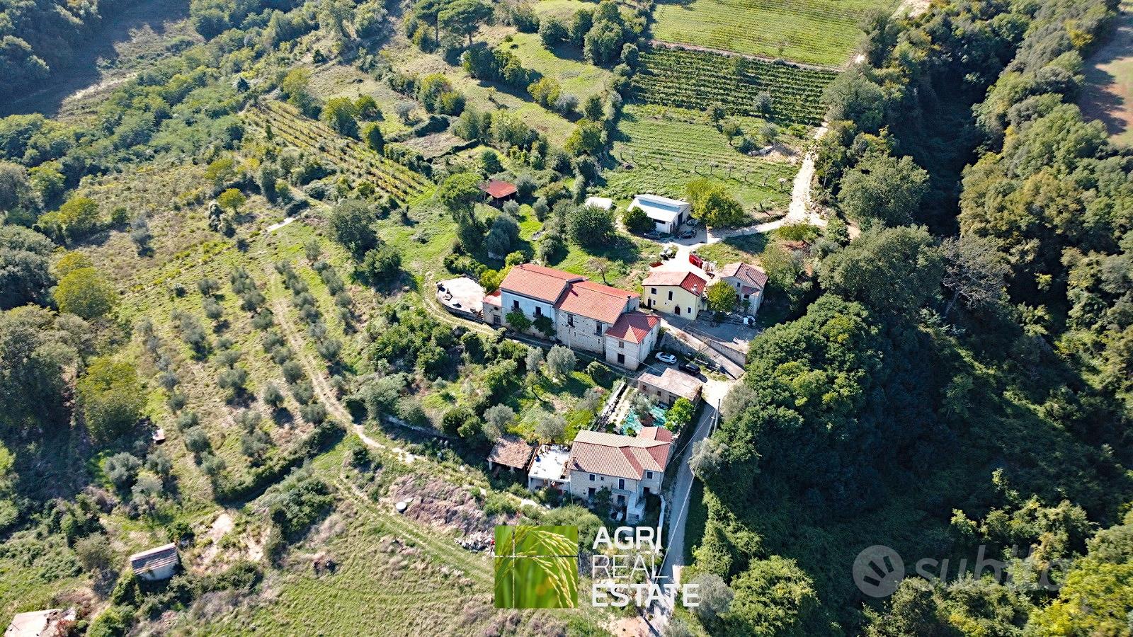 Cassino (FR) - Tenuta agricola di 14,5 HA | TR437 - View 5