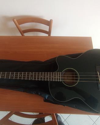 basso elettroacustico Cort 