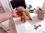 Immagine 19