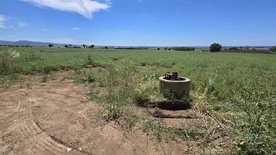 Terreno di 99998 m² a Tarquinia