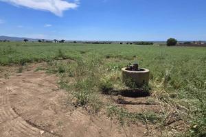 Terreno di 99998 m² a Tarquinia