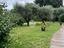 Immagine 11