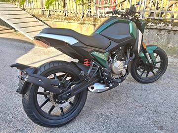 *NAKED FB.MONDIAL FLEX 300cc VERDE