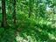 Immagine 26