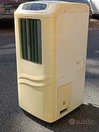 Condizionatore portatile 