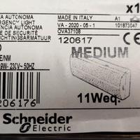 Illuminazione di sicurezza Schneider Electric