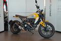Ducati Scrambler 800 Icon My23