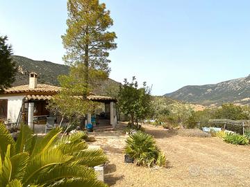 Oasi di libertà e natura solanas