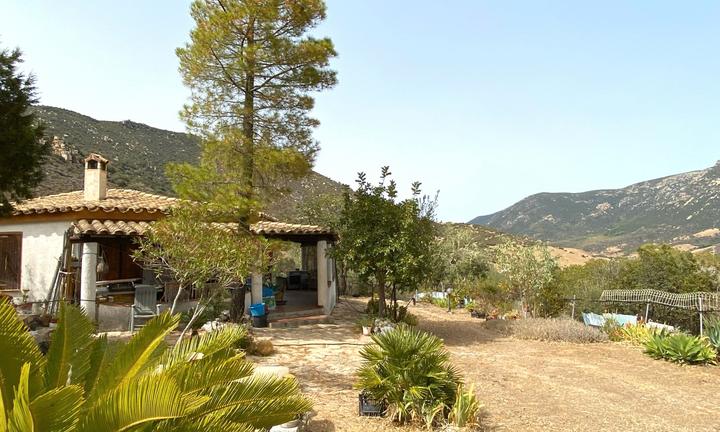 Oasi di libertà e natura solanas