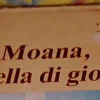 vhs per adulti + Rivista Moana e Siffredi