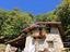 Immagine 26