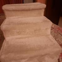 Scala per animali domestici