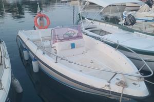 Imbarcazione Ranieri Pathfinder