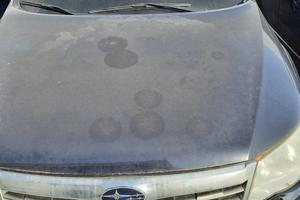 SUBARU FORESTER 2009 - COFANO ANTERIORE