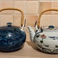 Coppia di Kyusu teiere giapponesi