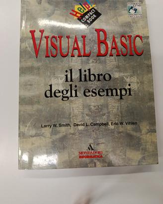 LIBRO PROGRAMMAZIONE VISUAL BASIC COLLEZIONE 