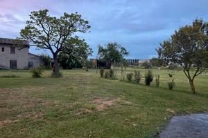 TERRENO PER APICOLTURA