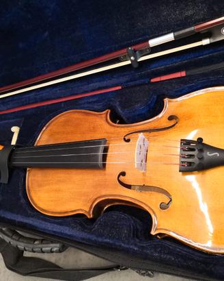 Violino