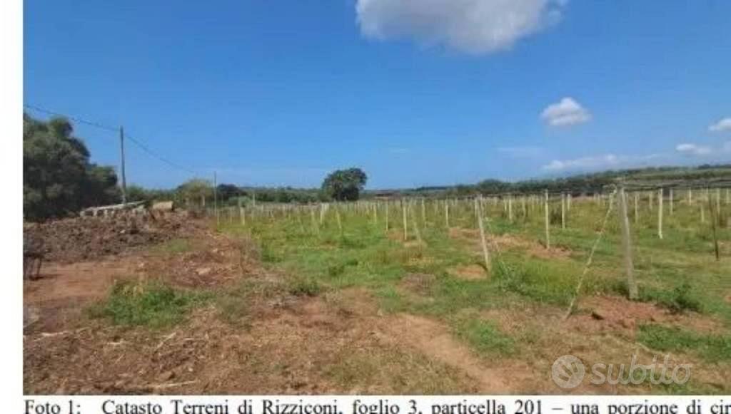 Immobile in asta di 24480 m² a Rizziconi - Vista 4