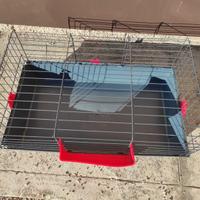 gabbia per conigli o cavie