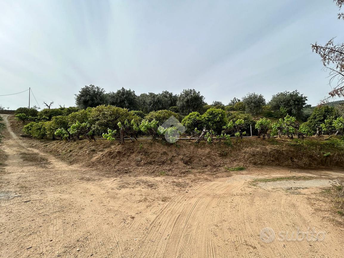TERRENO A CORIGLIANO-ROSSANO - Altro