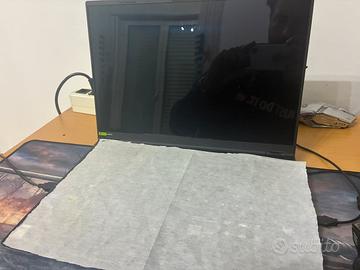 Acer predator