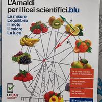 L'Amaldi 2.0. Le misure 9788808253989