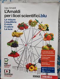 L'Amaldi 2.0. Le misure 9788808253989