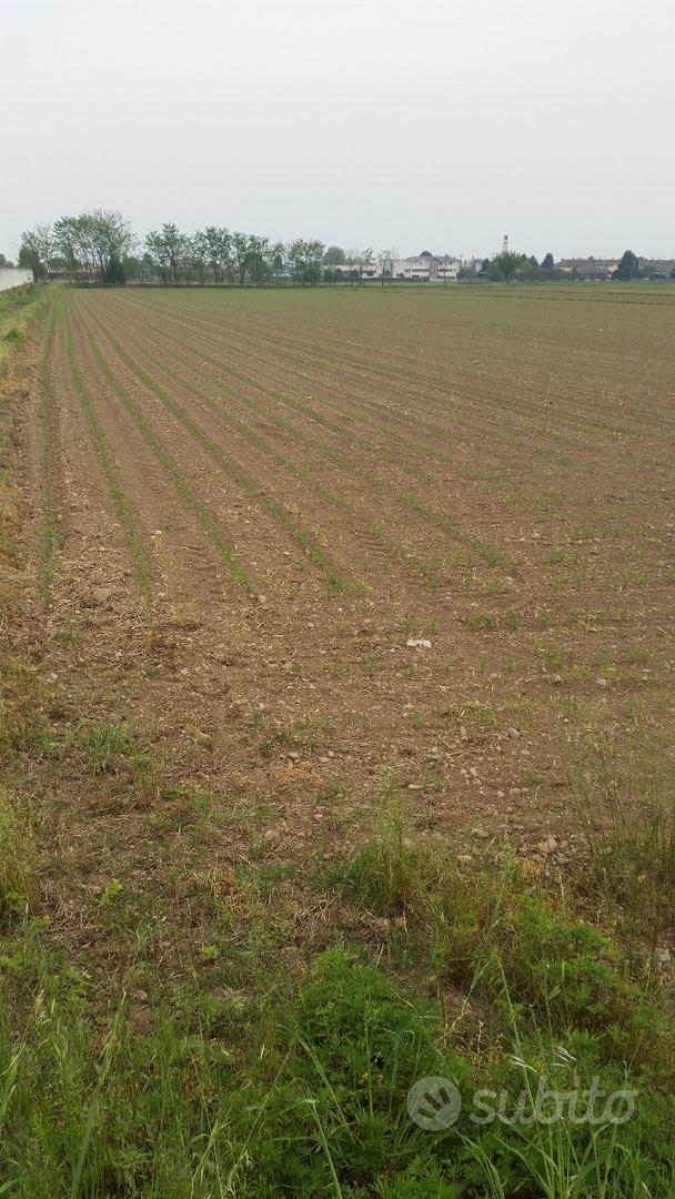 Terreno agricolo di 6300 mq a Castano Primo - Vista 5