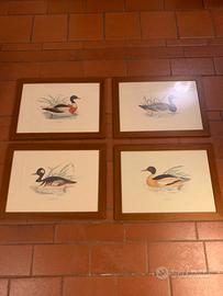 Quadri stampe anatre cornici legno