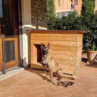 cuccia per cani coibentata in  legno massello 